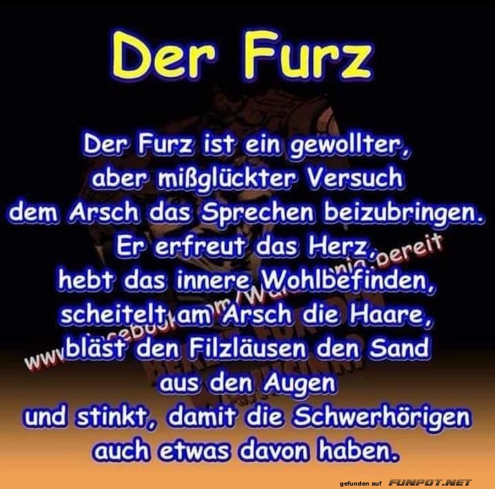 Der Furz