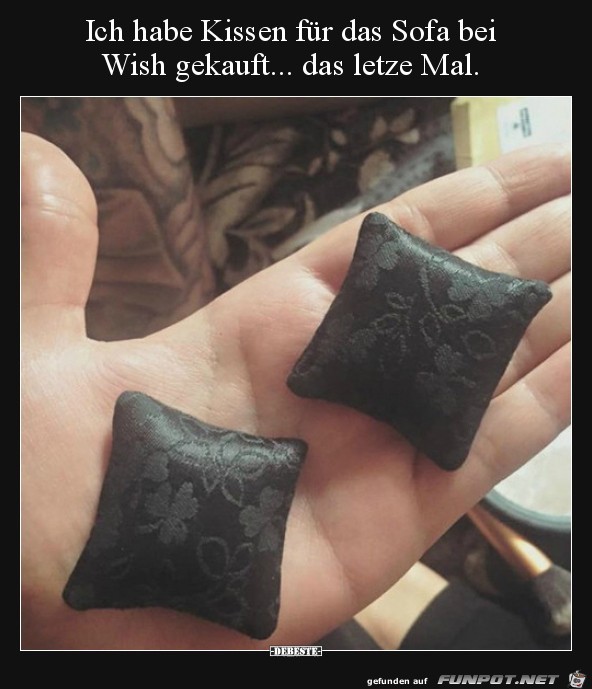 Ich habe Kissen fr das Sofa bei Wish gekauft...