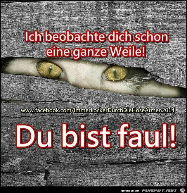 Du bist faul !