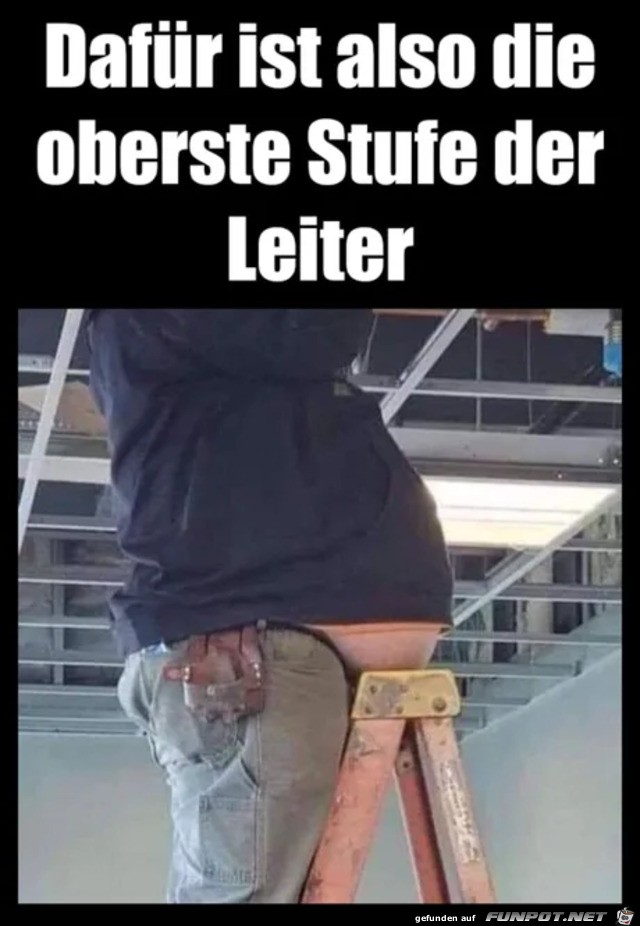 Die oberste Stufe der Leiter