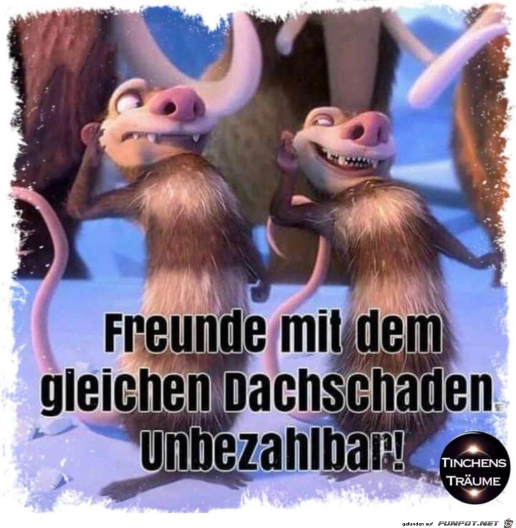 Dachschaden