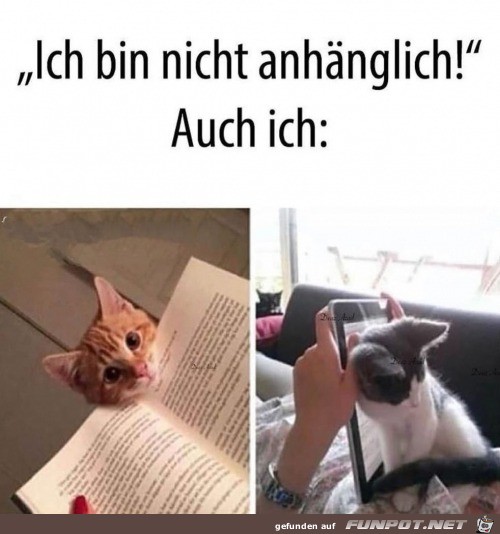 bin nicht anhnglich