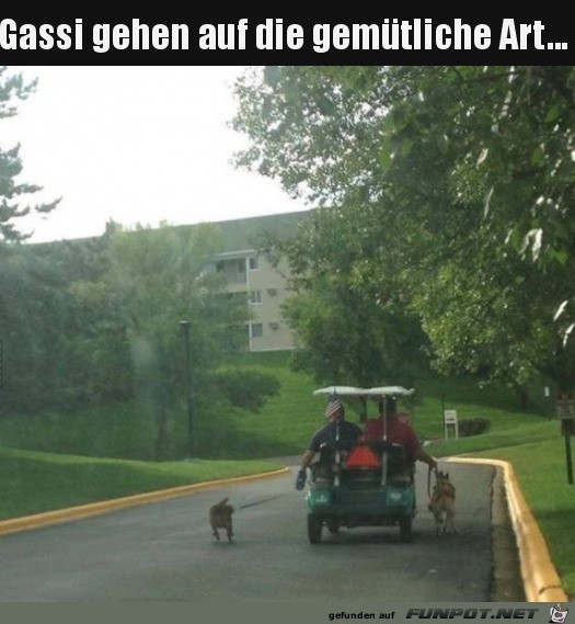 Gemtlich Gassi gehen