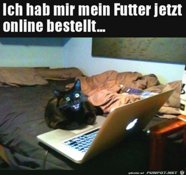 Futter online bestellt