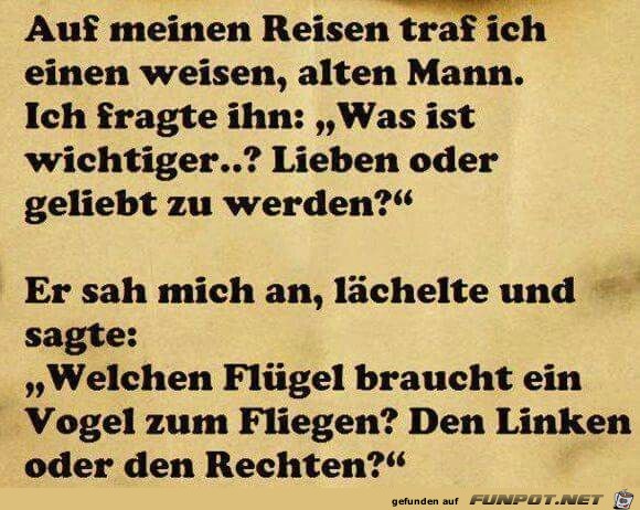 Welchen Flgel braucht ein Vogel zum Fliegen ?