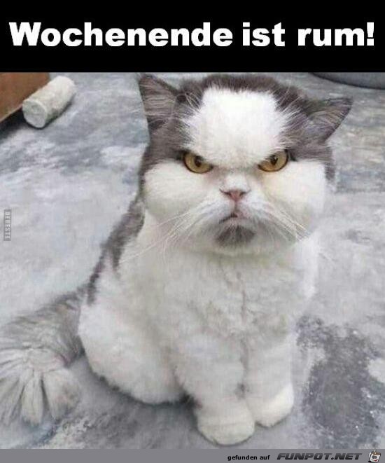 Wochenende ist ein !