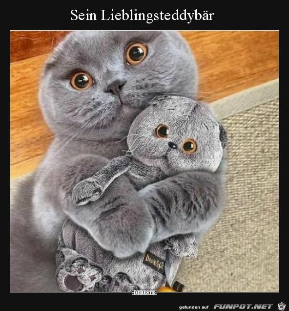 Sein Lieblinsteddybr