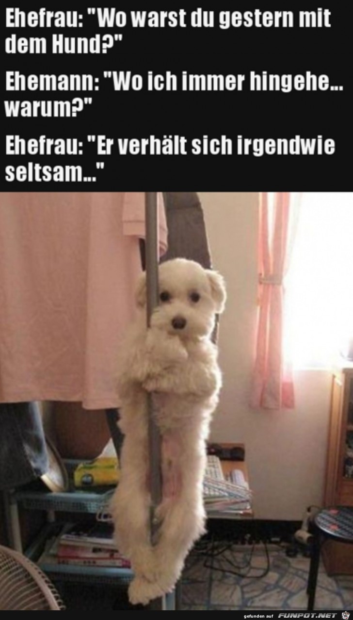 Wo warst du mit dem Hund?