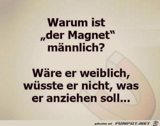 Warum ist der Magnet mnnlich ?