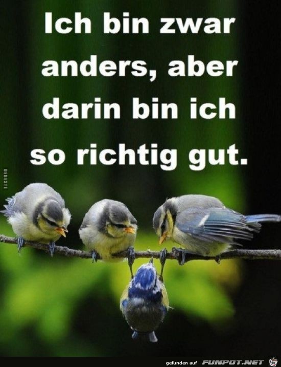 Ich bin zwar anders