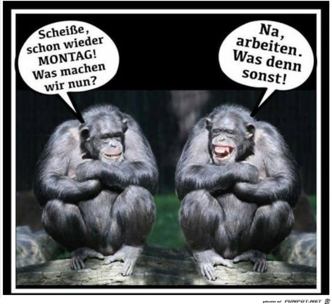 Schon wieder Montag