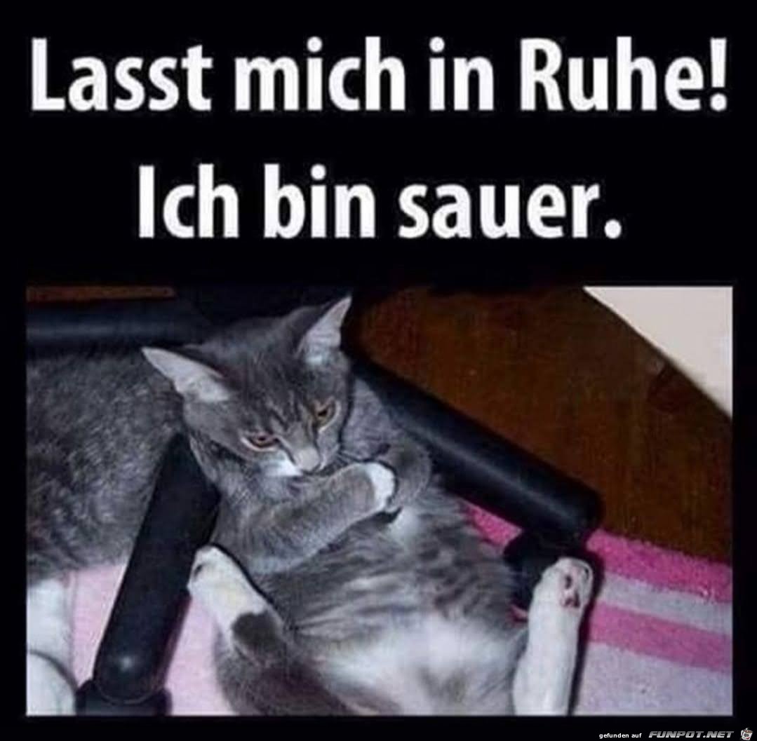 Lasst mich in Ruhe