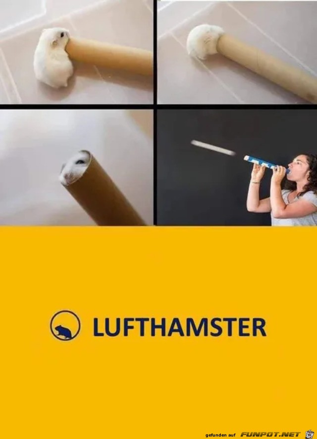 Der Lufthamster