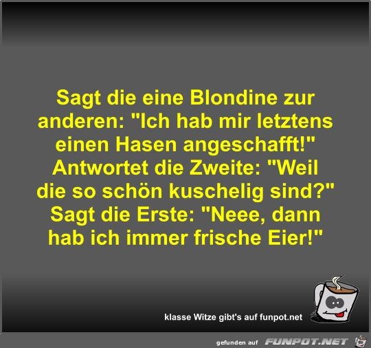 Sagt die eine Blondine zur anderen