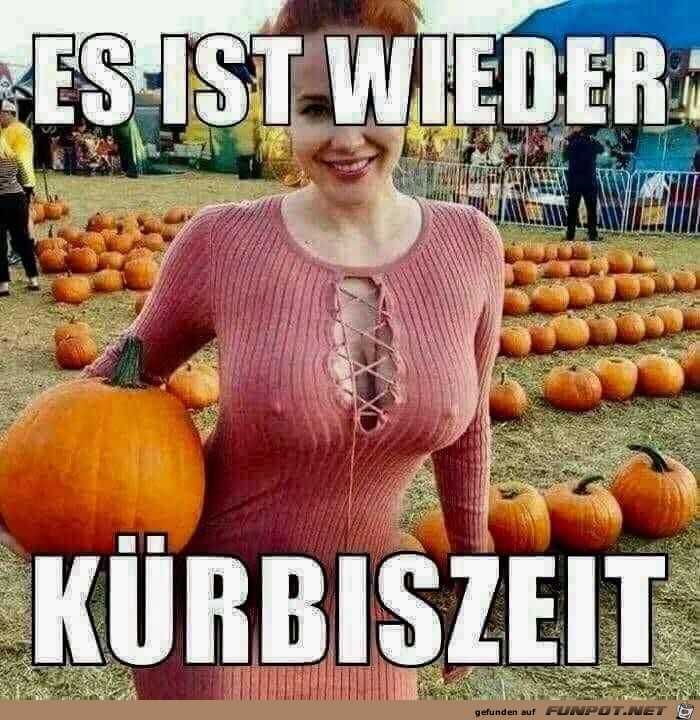 Kuerbiszeit