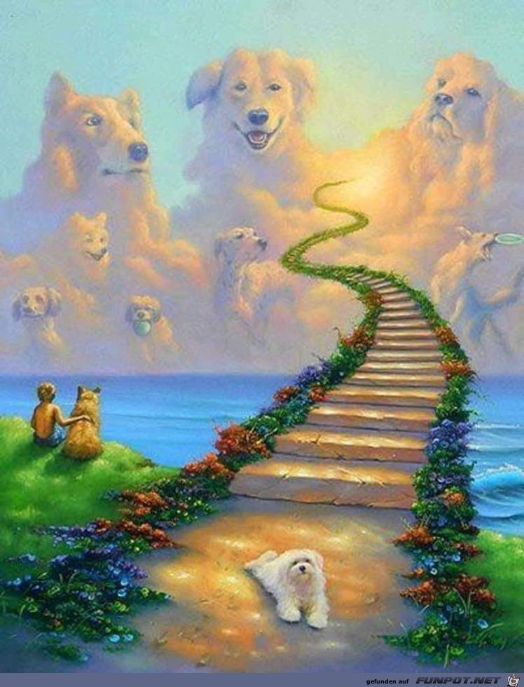 Stairways to heaven