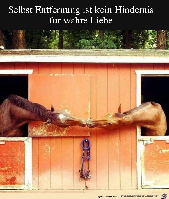 Das ist wahre Liebe