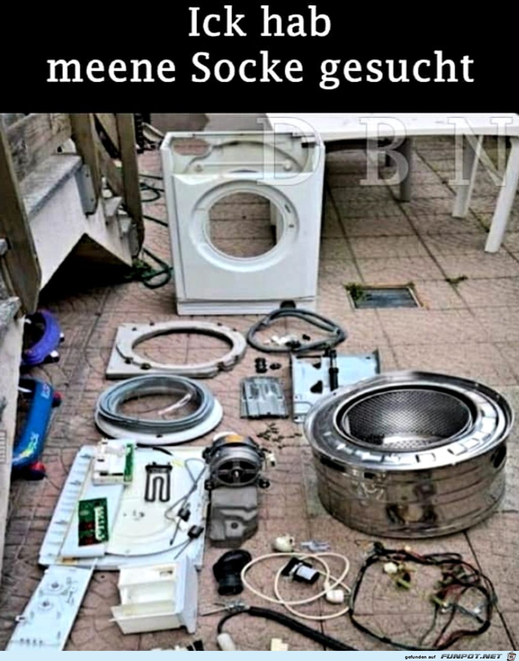 Socke gesucht Socke gesucht