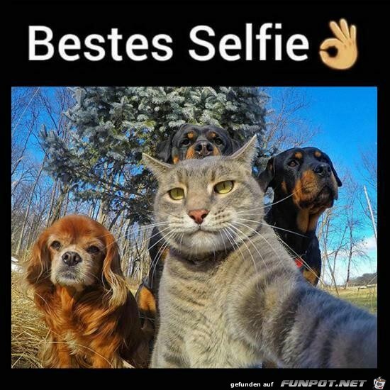Bestes Selfi
