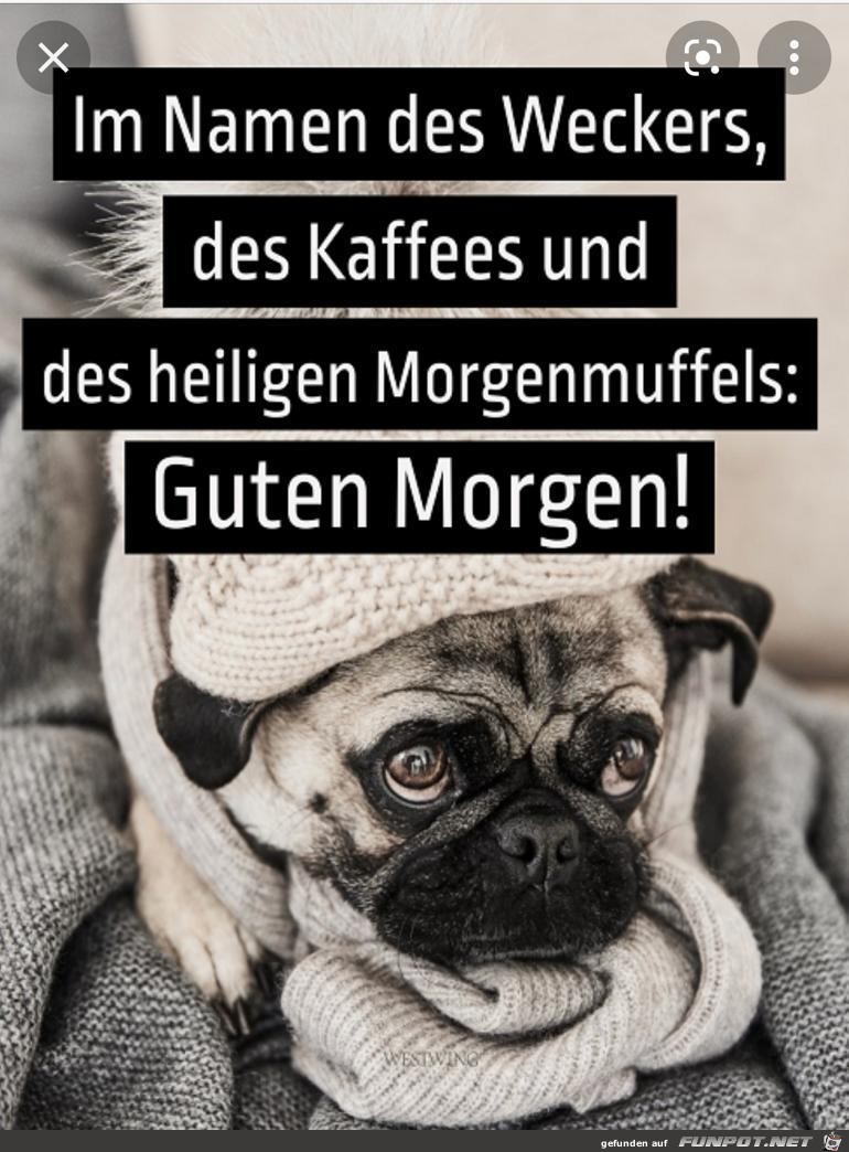 Guten Morgen