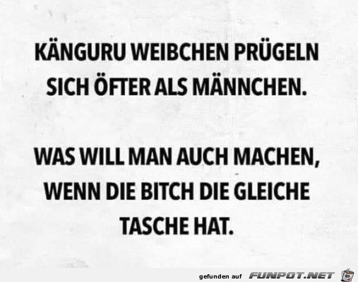 Die gleiche Tasche