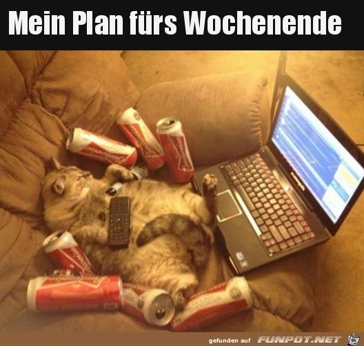 Plan frs Wochenende