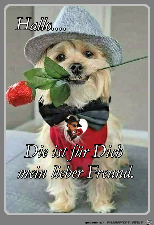 Hallo mein lieber Freund...