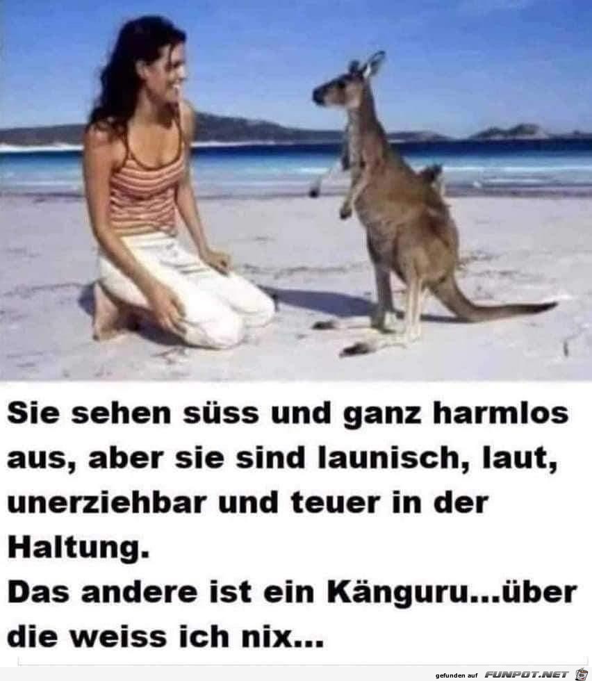 Sie sehen suess aus