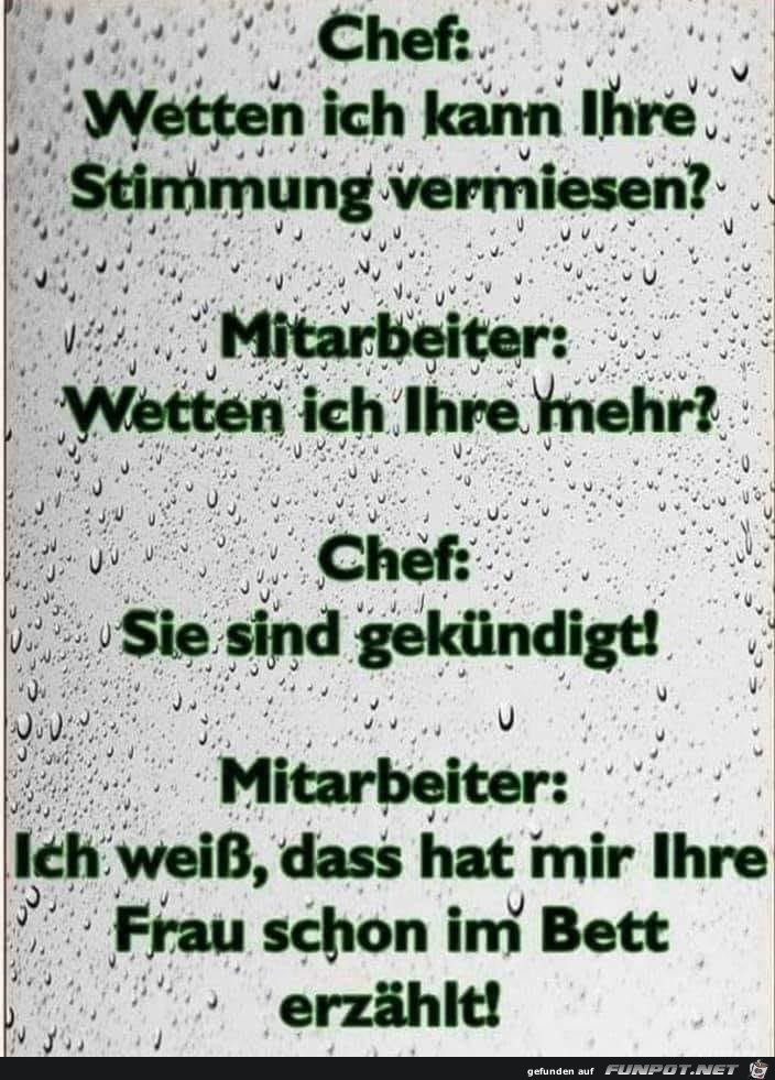 Chef - Mitarbeiter