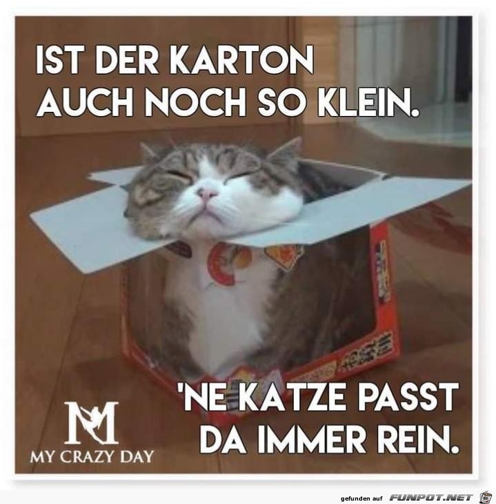 ne Katze passt da immer rein