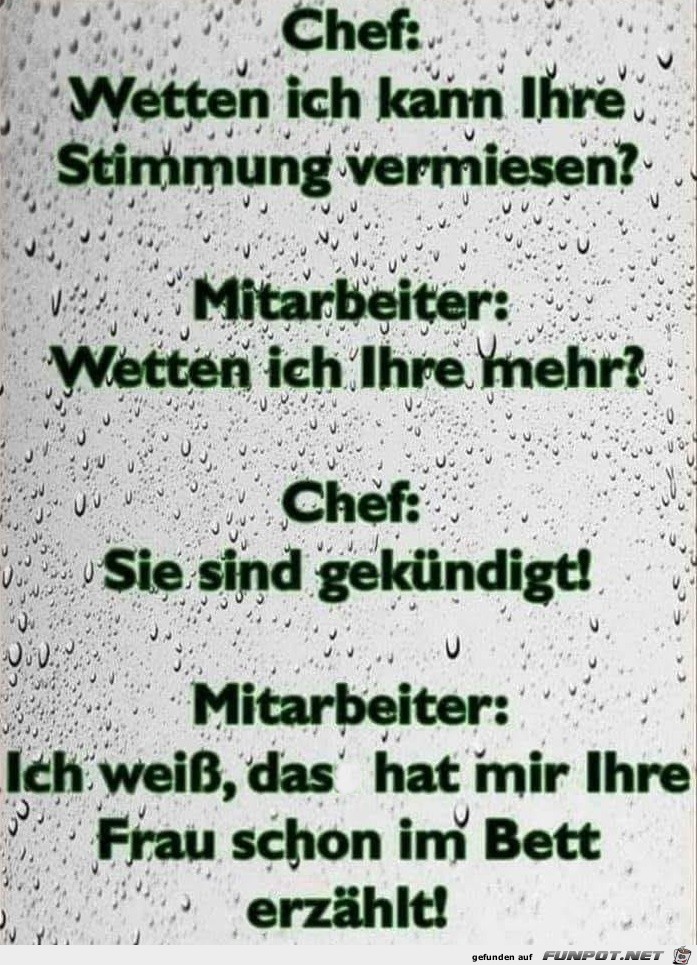 Chef - Mitarbeiter