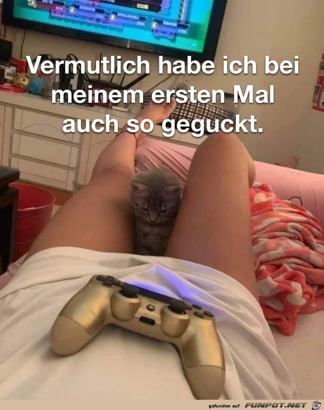 Da guckt aber jemand