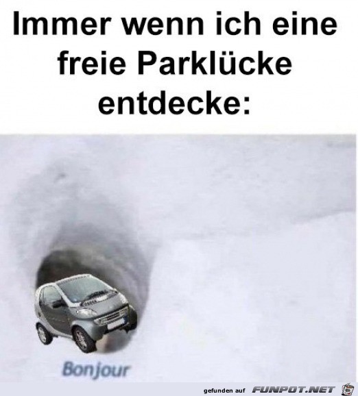 Freie Parklcke