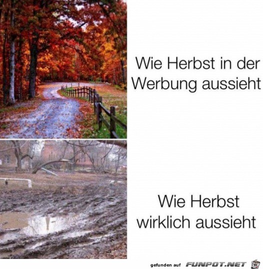 Der Herbst