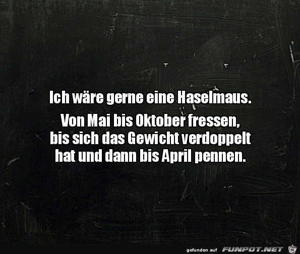 Die Haselmaus