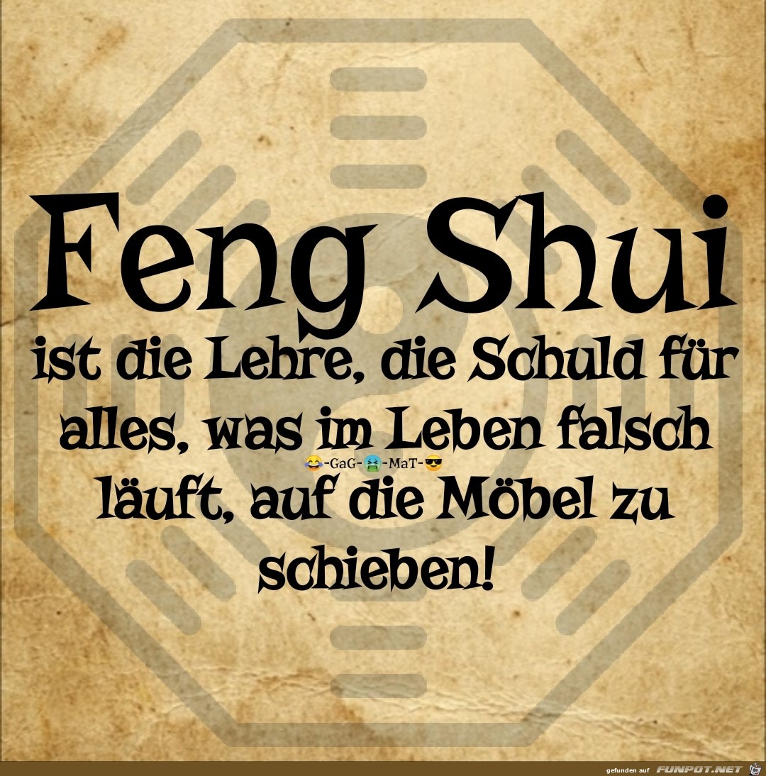 Feng Shui Feng Shui