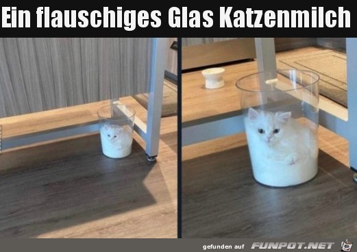 Katzenmilch