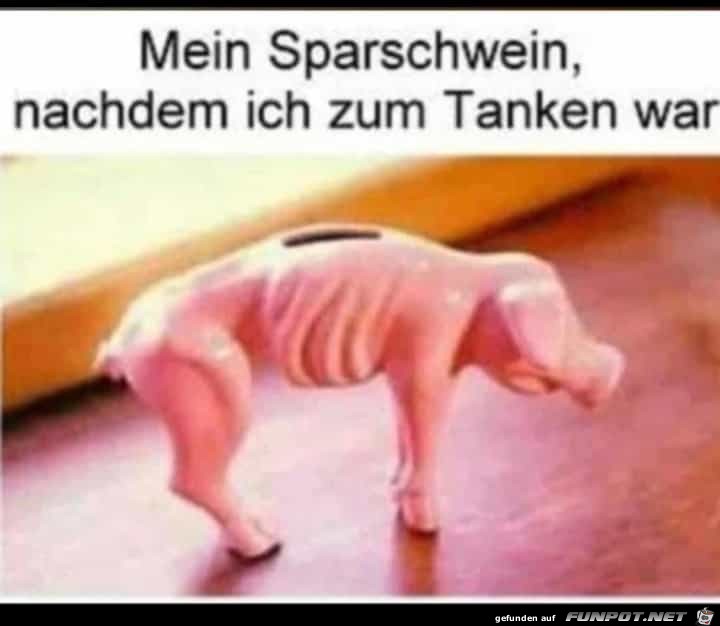 Sparschwein