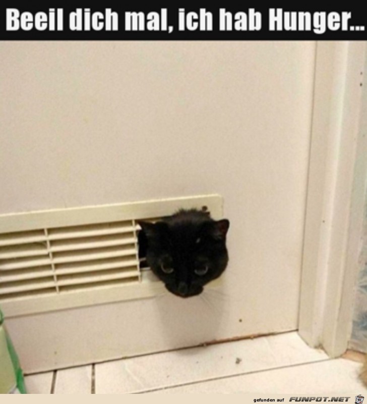 Ich habe Hunger