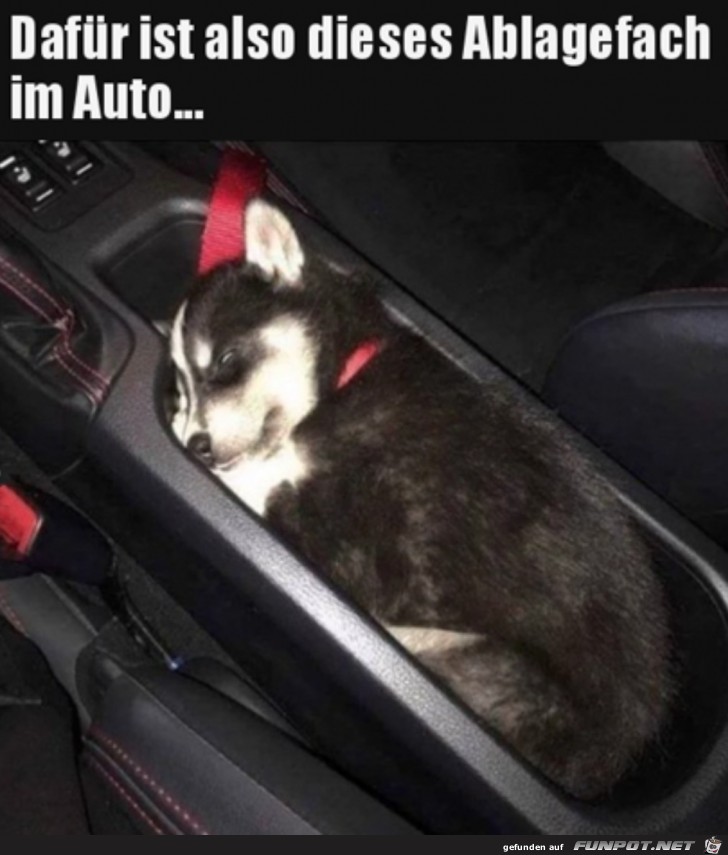 Gemtlich im Auto