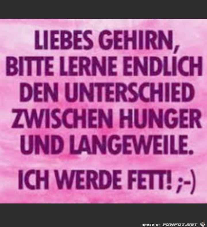 liebes Gehirn