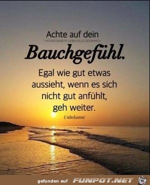 Achte auf dein Bauchgefuehl