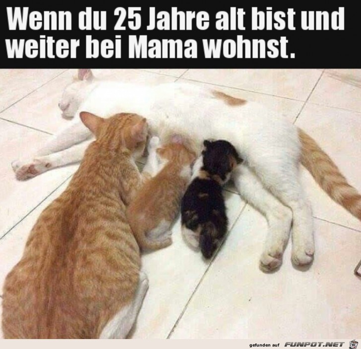 Wohnt immer noch bei Mama