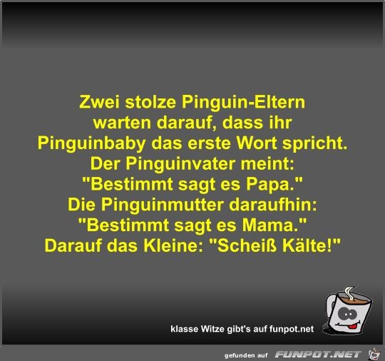 Zwei stolze Pinguin-Eltern warten darauf