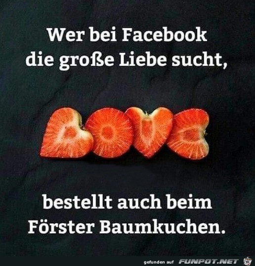 Auf Facebook findet man gar nichts