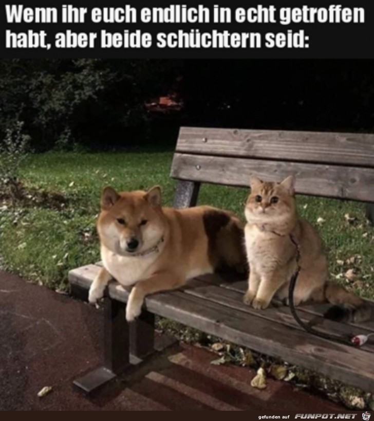 Beide sind schchtern