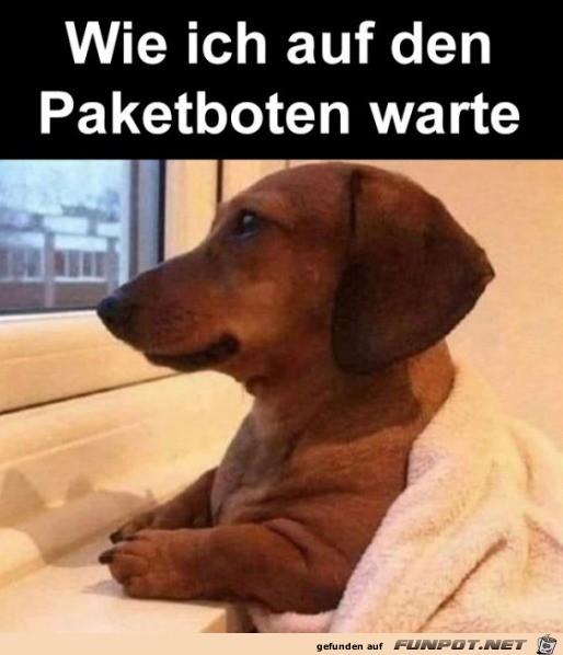 So warte ich auf ein Paket