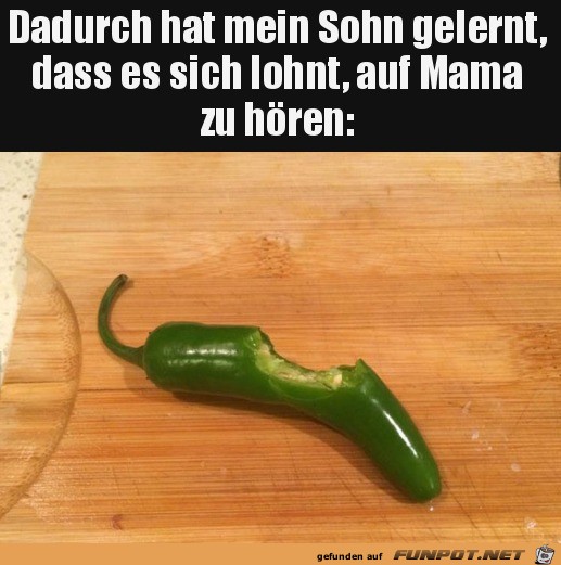 Htte man mal auf Mama gehrt