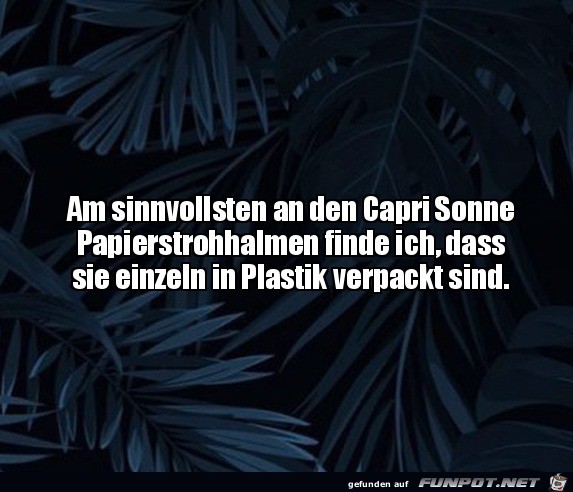 Das macht Sinn