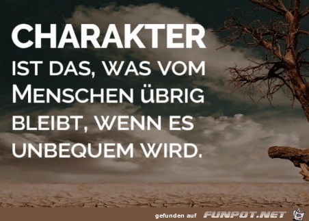 Der Charakter